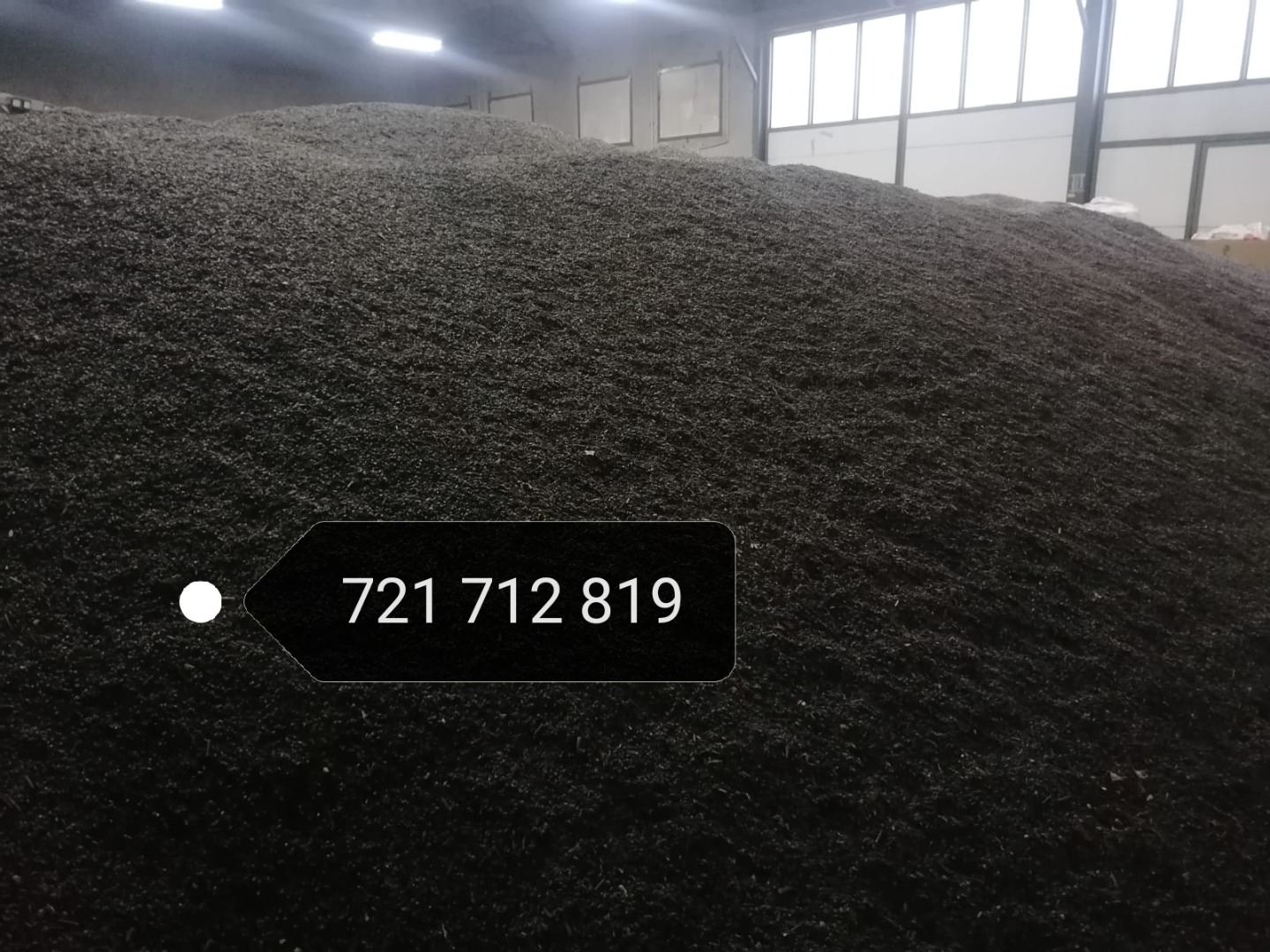 Venderé un girasol negro
