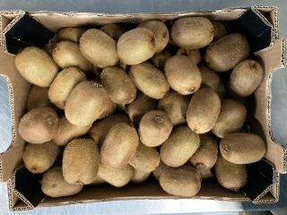 Bio Kiwi Hayward Cal 42, 39, 36, 33, 30