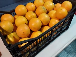 Venderé naranja nevelina española, muy dulce sin carozos, calibre