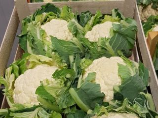 Tenemos muchas verduras a la venta. Te invitamos a