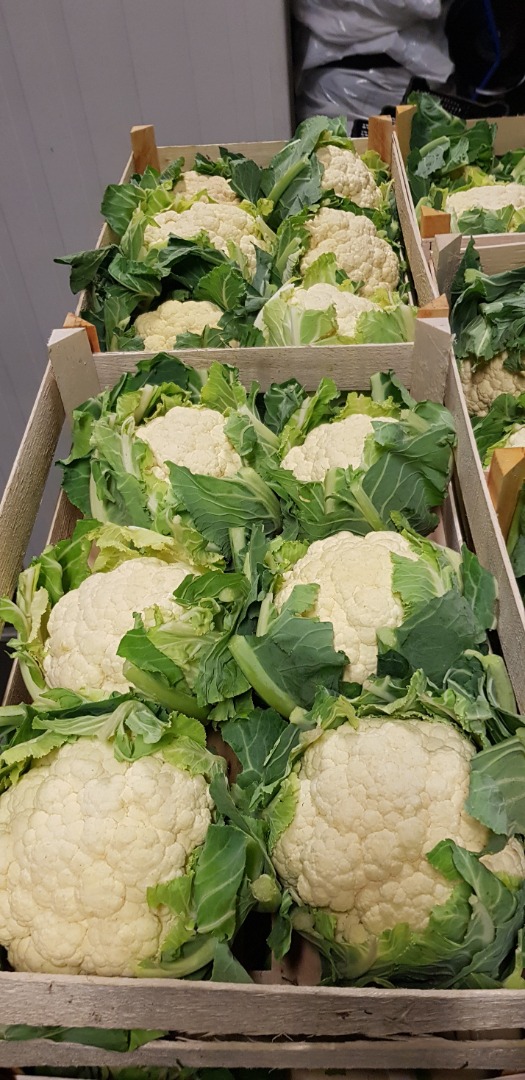 Tenemos muchas verduras a la venta