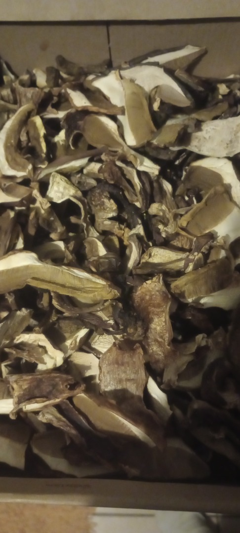 Champiñones secos enteros y en rodajas