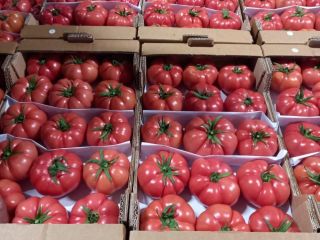 Venderé tomates, país de origen Turquía. Los invito a