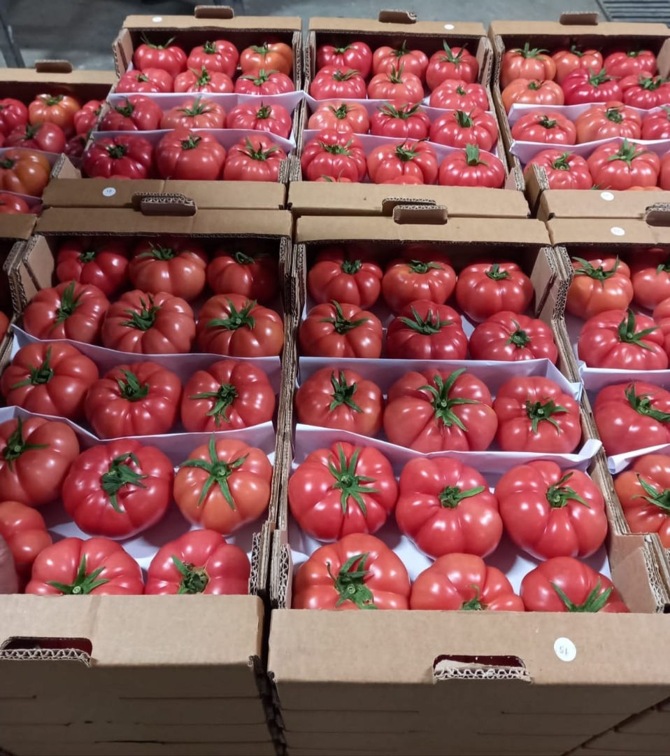 Venderé tomates, país de origen Turquía