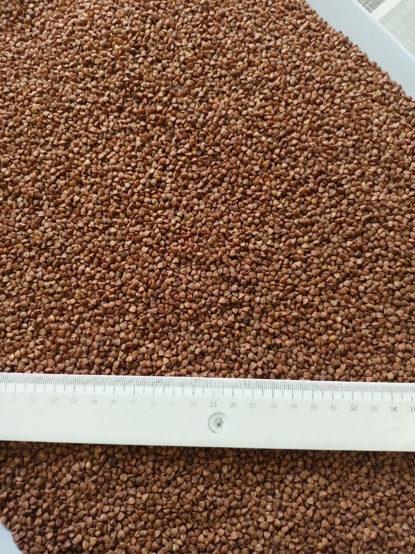Nuestra empresa se complace en ofrecer sémola de trigo sarraceno tostado, los productos provienen directamente del fabricante, han sido probados para