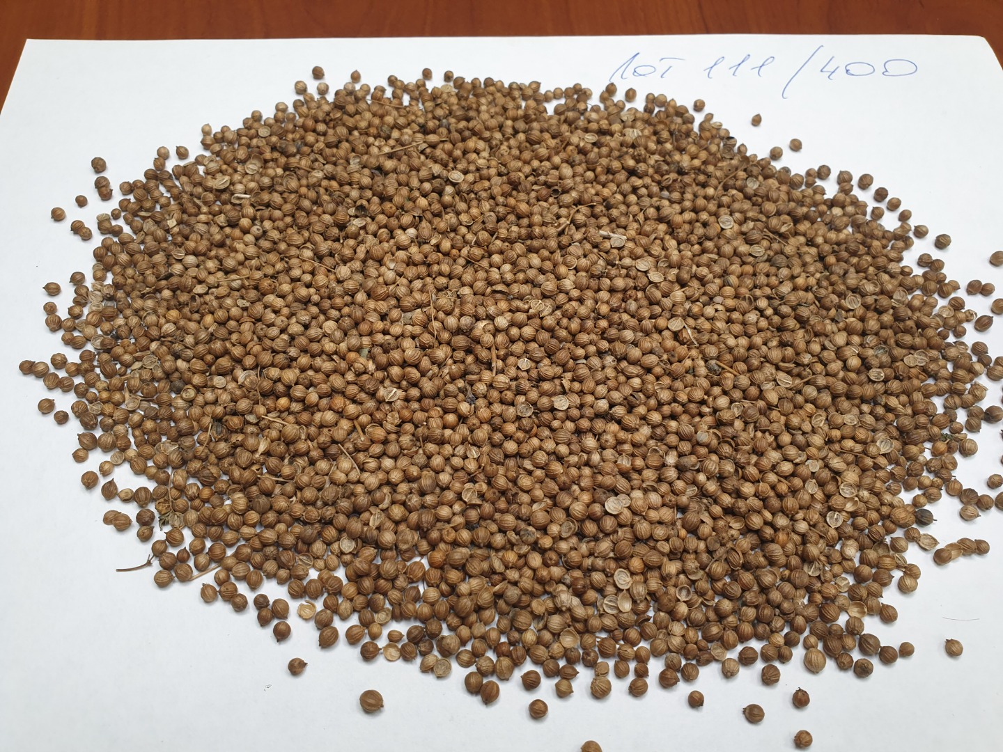 LLC "Smolensk Agro Export" exporta semillas de cilantro, origen ruso, DAP de los países de la UE