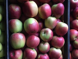 Venderé una manzana orgánica con certificado de postre y