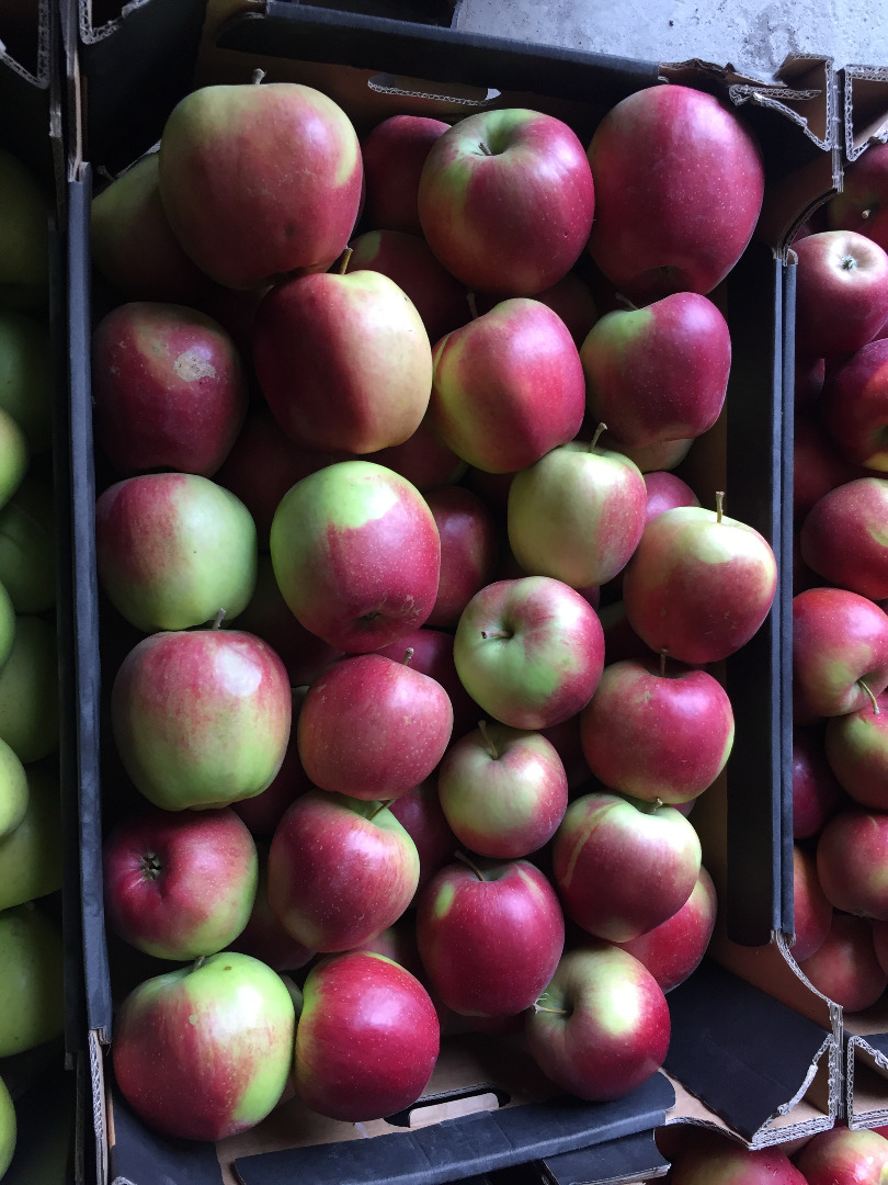 Venderé una manzana orgánica con certificado de postre y para procesamiento