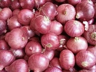 Estamos vendiendo cebolla roja Cal 5+ de agricultores locales