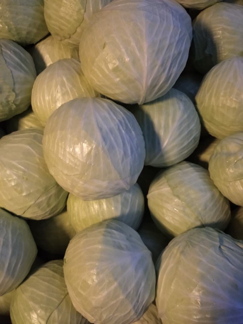 Venta de repollo blanco Adelco