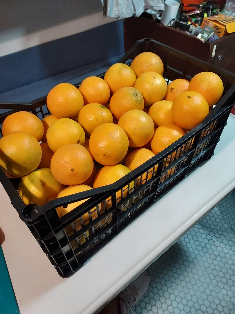 Vendo naranja española, dulce y sin pepitas, muy jugosa, palet y car cantidades, también tengo mandarinas, klemetine, ubicación Silesia