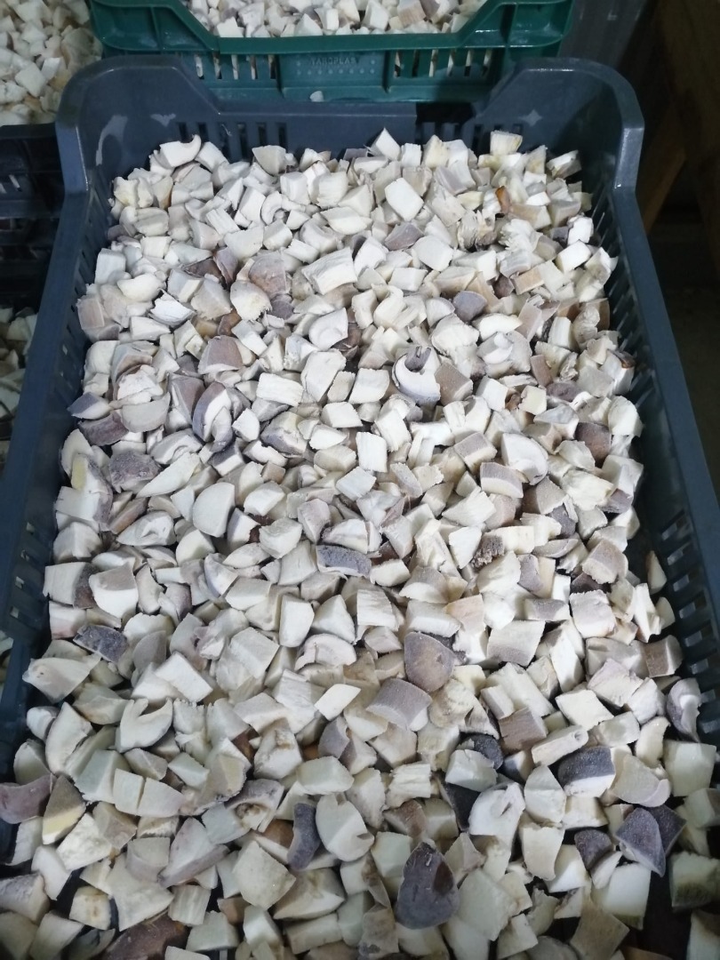 Ofrecer en lugar de unas 10 toneladas de boletus congelados, en cubos y enteros