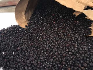 Vendo arándanos silvestres, el precio de pelados 3,2 euros