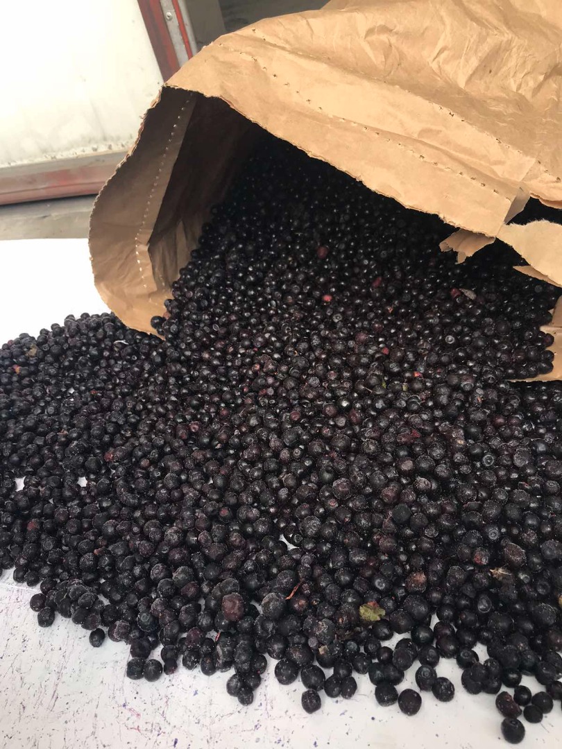 Venderé arándanos silvestres, el precio del pelado es de 3,2 euros con envío a Polonia, el precio del natural con hojas es de 3 euros con envío!