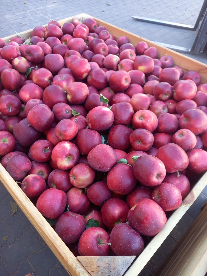 Soy productor de manzanas de alta calidad de diferentes variedades