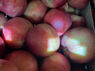 Royal Apple sp. z o. o. vende manzanas de