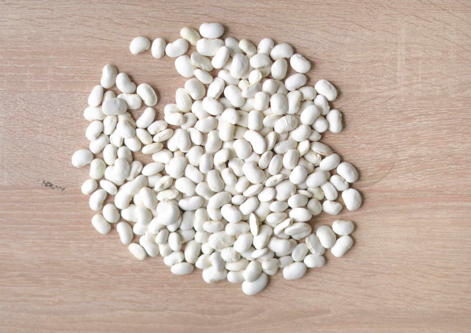 Hola, vendo frijoles blancos en tamaños: 100-120/100g, 70-80/100g
