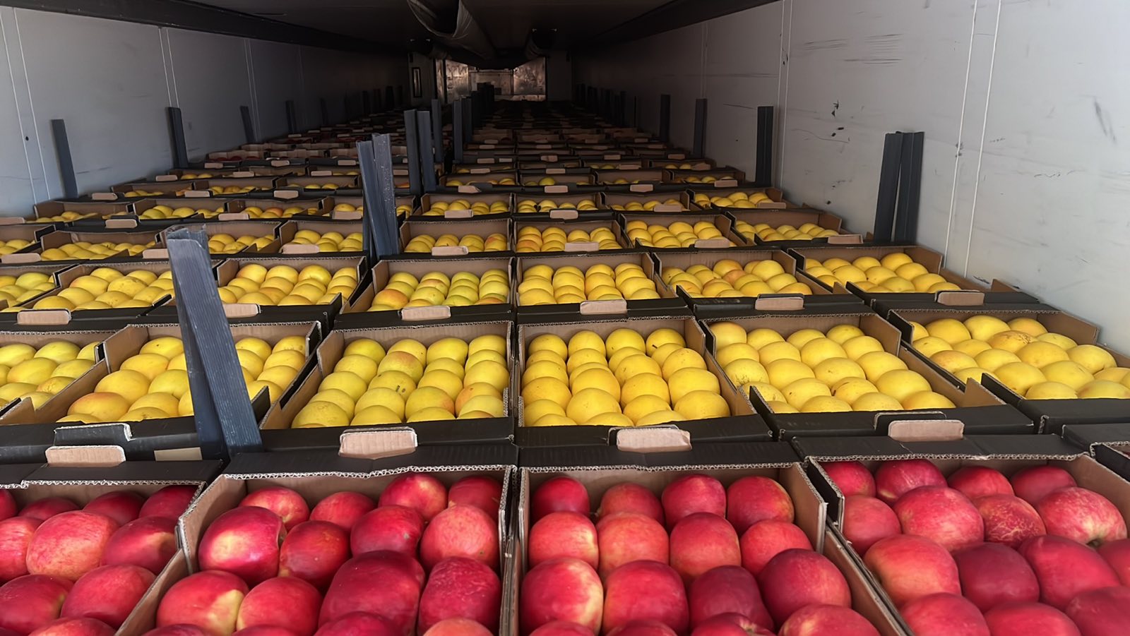 VENDEMOS AL POR MAYOR TODO TIPO DE MANZANAS