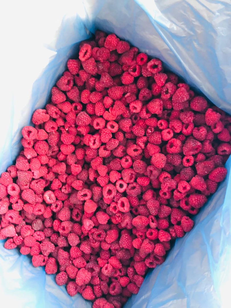 Vendo frambuesas enteras congeladas (90/10) en cajas de 10 kg