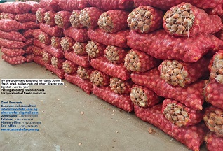 Estimados, Somos productores y proveedores de ajo (fresco, congelado, picado, pelado), cebolla (fresca, congelada, en polvo, dorada, roja, semillas de cebolla)