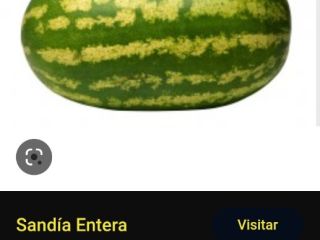 Sandías de 8 a 12 kilos la unidad. Estarán