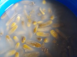 Venderé pepino en escabeche de mi propia granja, en