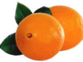 Disponemos de una variedad tipos: de Naranjas, Valencia, Nectarinas,