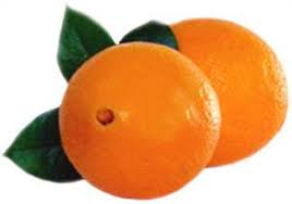 Disponemos de una variedad tipos: de Naranjas, Valencia, Nectarinas, Navel de alta calidad listas para exportar