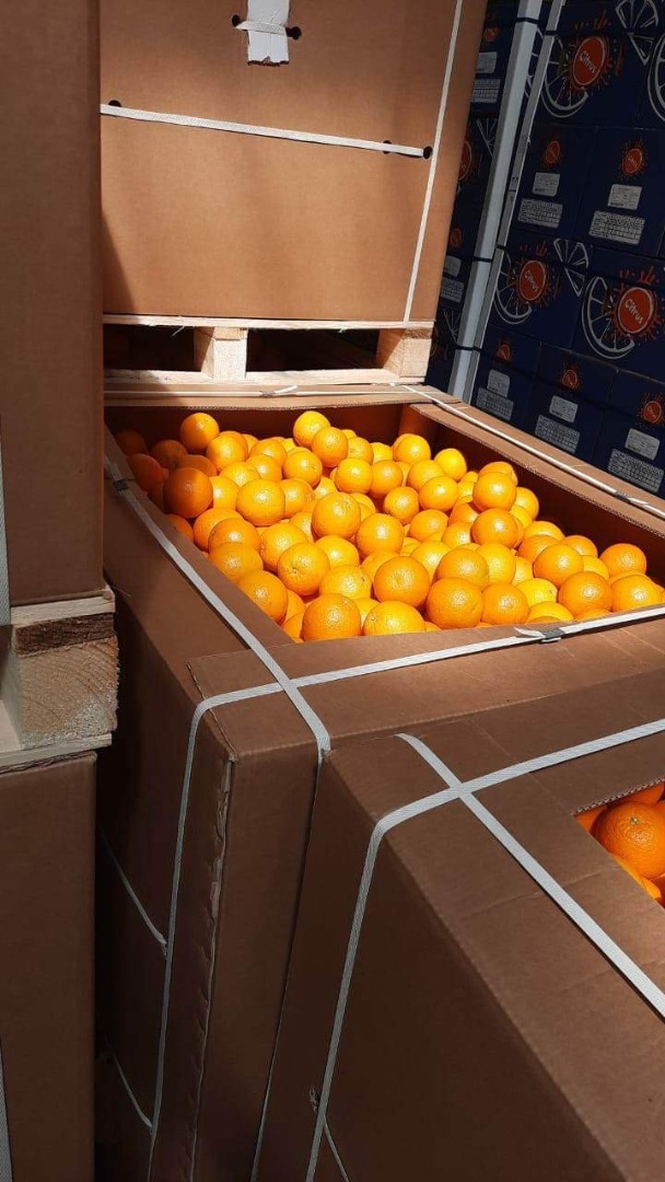 Naranja egipcia de alta calidad