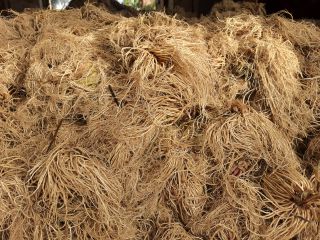 Venderé raíz de valeriana enjuagada y seca. Envasado en