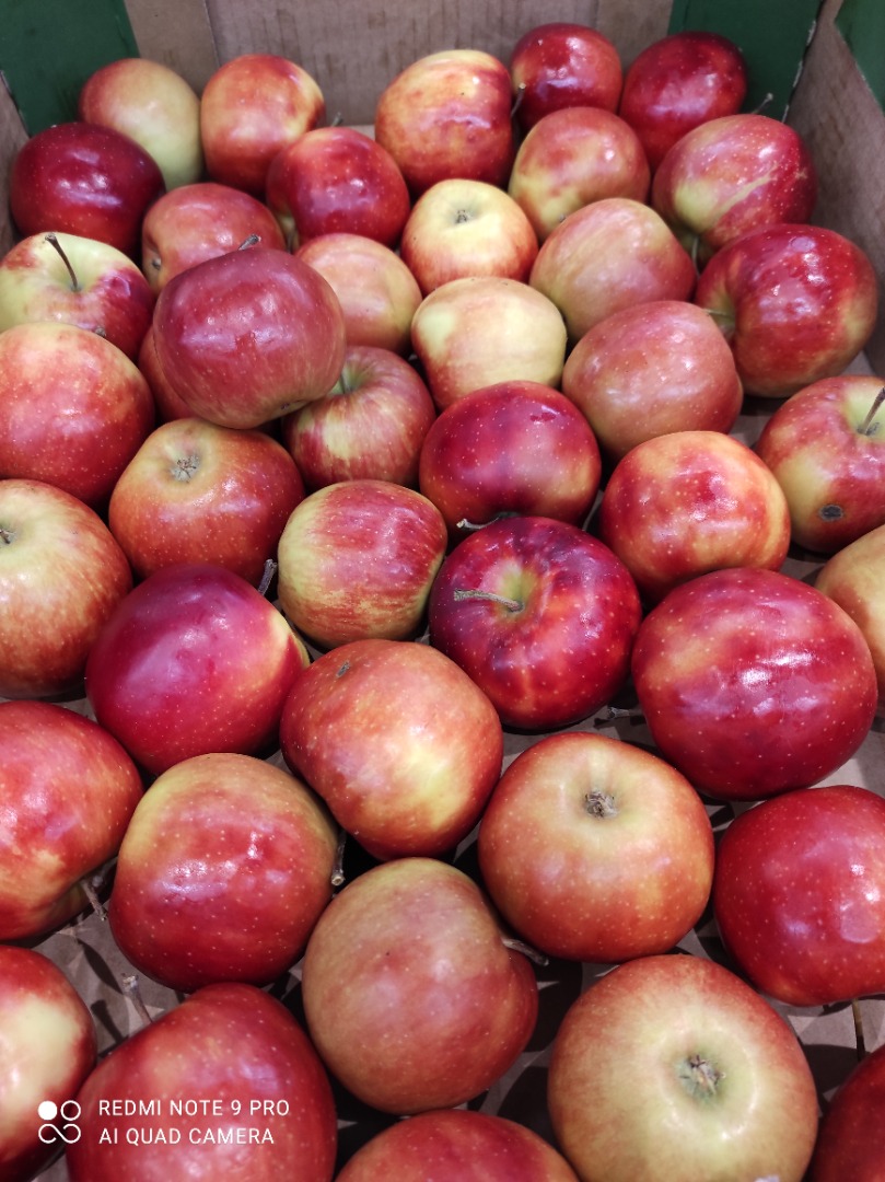 Tengo manzanas a la venta