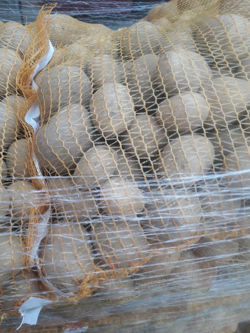 Venderé papas Gala de suelo ligero cepillado en una bolsa cosida de 3,4,5,10,15 kg, la posibilidad de imprimir en una faja