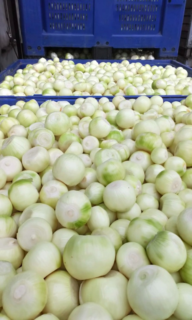 Hola vendo cebollas peladas cal 4+ cebollas sanas y frescas