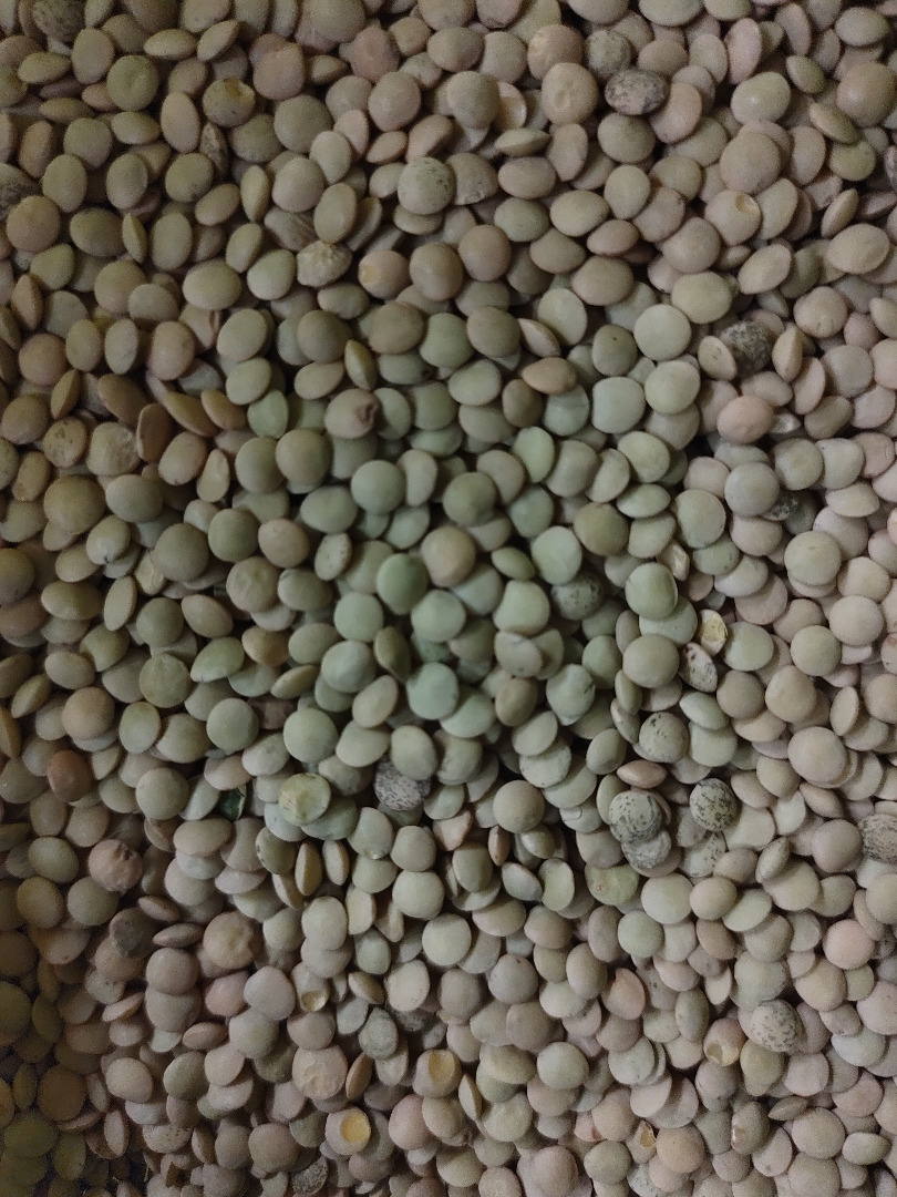Lentejas ecológicas en big bags