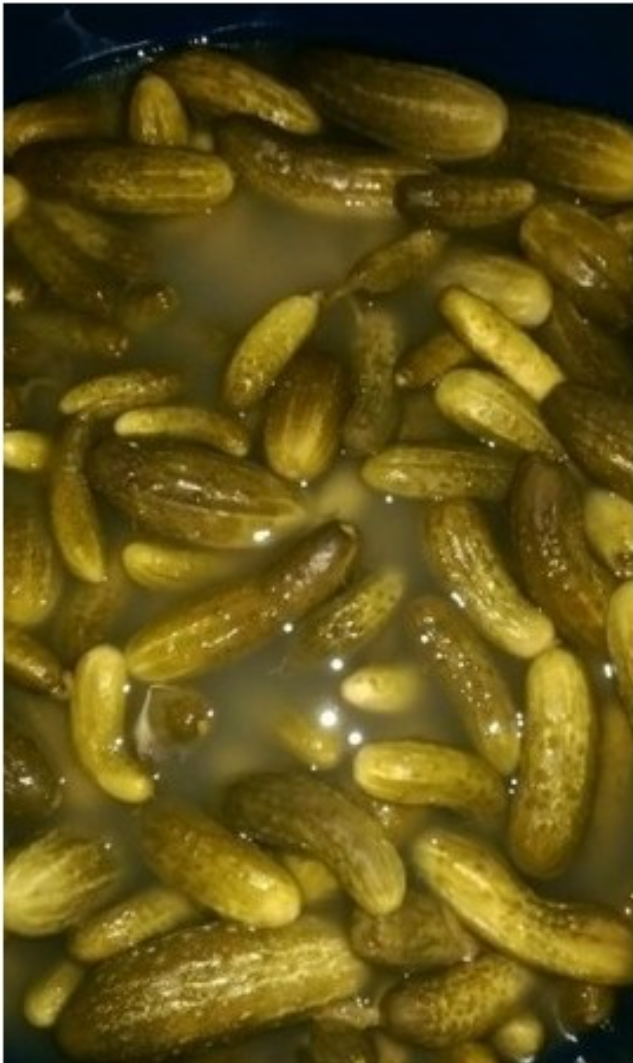 Pepinos en vinagre en barriles (posible reenvasado en cubos) duros y carnosos con muchas especias