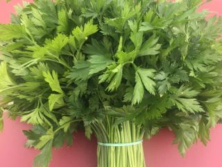La empresa cultiva grandes volúmenes de eneldo, perejil, cilantro,