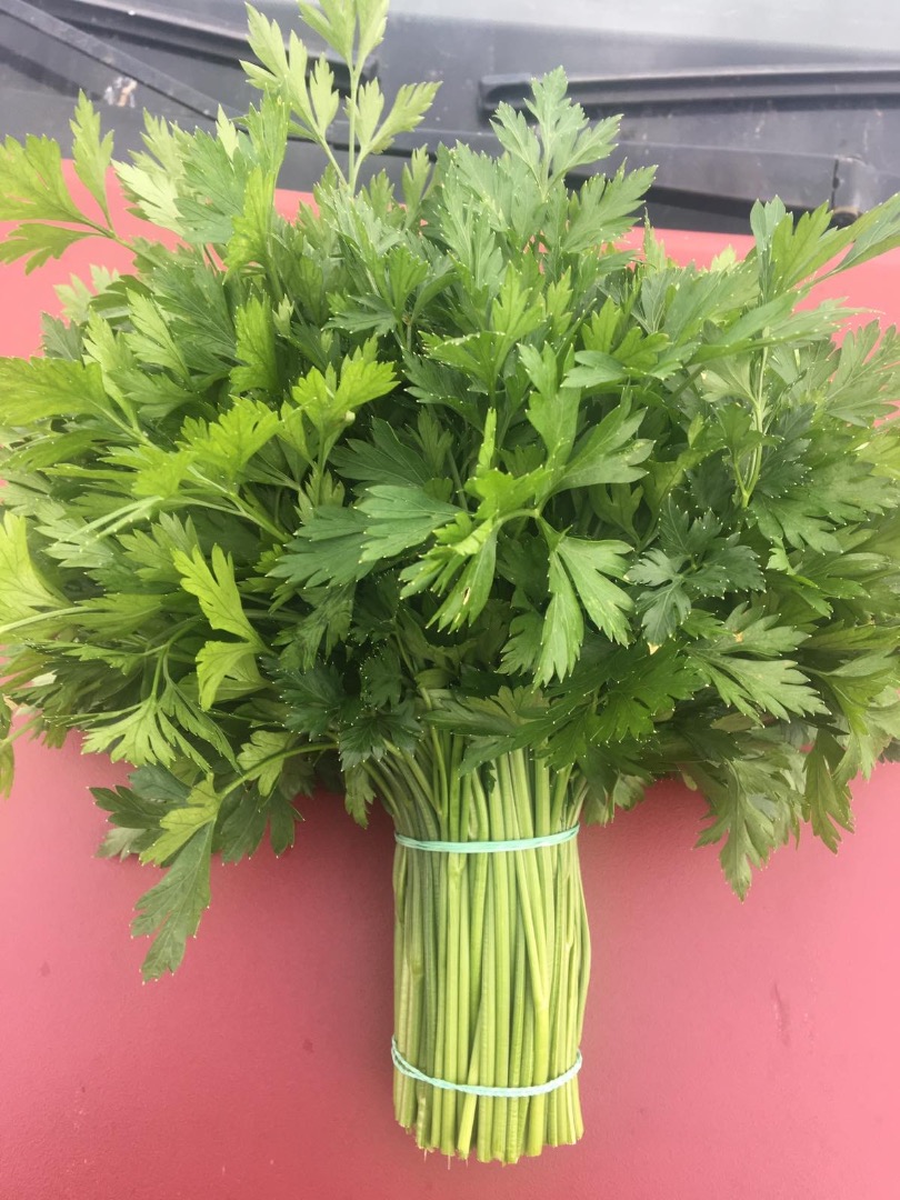 La empresa cultiva grandes volúmenes de eneldo, perejil, cilantro, espinaca, rúcula y menta