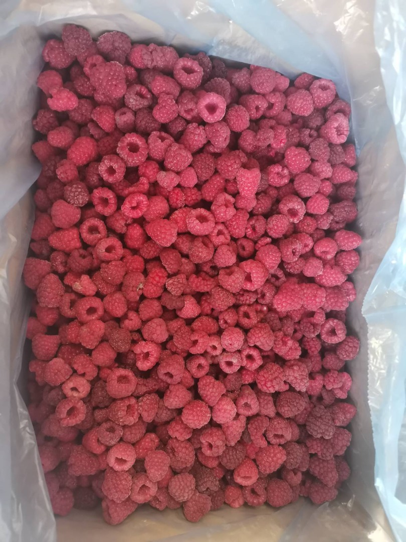 Frambuesa congelada 90/10 Variedad:Polka Envase:11 kg en bolsa de cartón