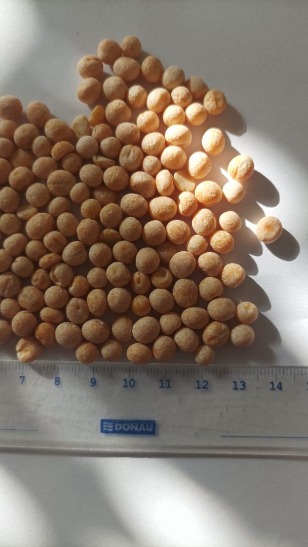 Guisantes redondos amarillos y mitades Certificado y análisis de laboratorio Precio con entrega al destinatario