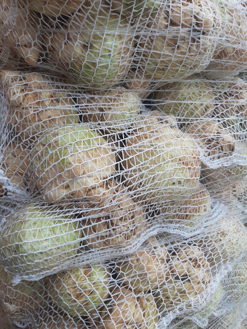 Venderé zanahorias perejil apio col remolacha