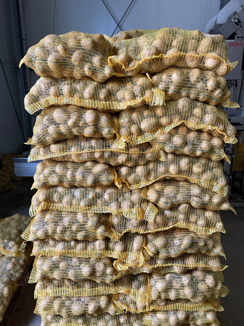 Vendo papas comestibles Gala soraya queen anne Big bag bolsa cosida a granel
