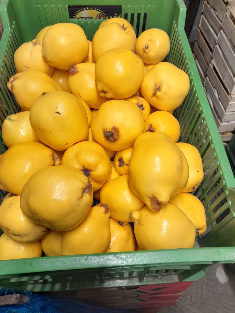 Venderé fruta fresca de membrillo