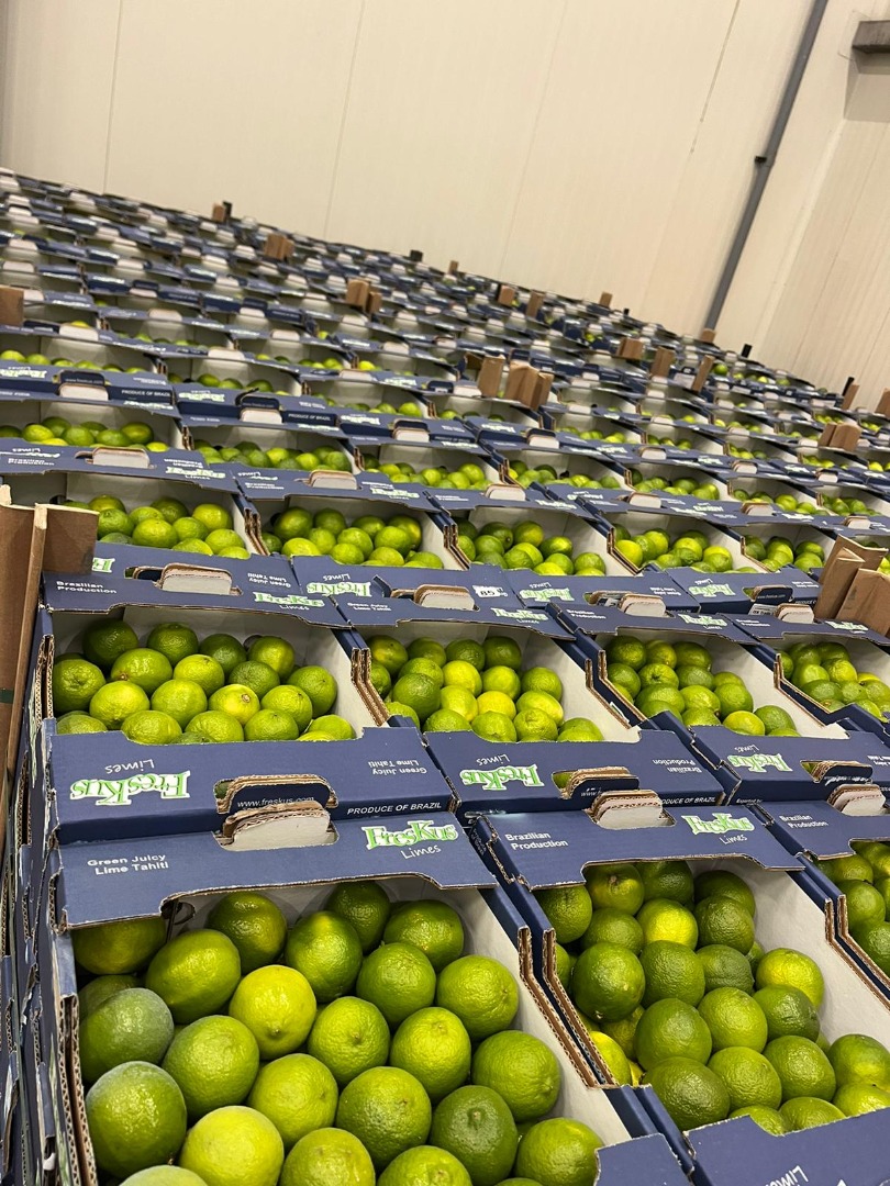 Limes Tahiti Precio EXW Rotterdam: 7 EUR/4,5 KG Marca: FRESKUS País de origen: BRASIL Embalaje: 4,5 kg/caja Cantidad por paquete: 240 cajas/1 palet