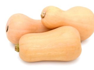 Calabazas Matilda, disponibilidad unas 5 toneladas. Están ubicados en