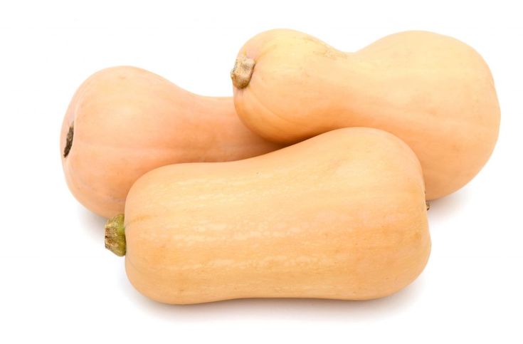 Calabazas Matilda, disponibilidad unas 5 toneladas