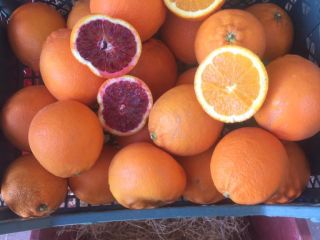 Vendo naranjas de pulpa roja
