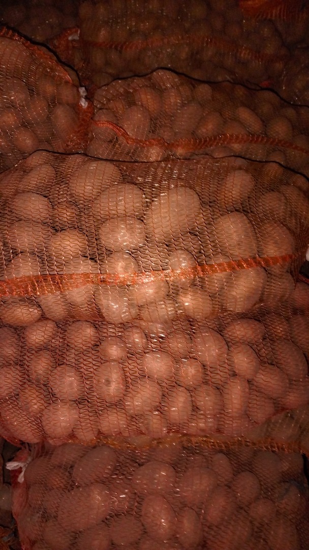 Papas Soraya calibre 5 + adicionalmente tengo 2 toneladas de Boleroza