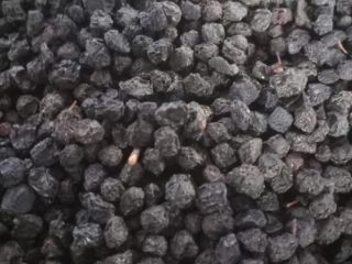 Vendo aronia seca y limpia. De producción propia. Aprox.