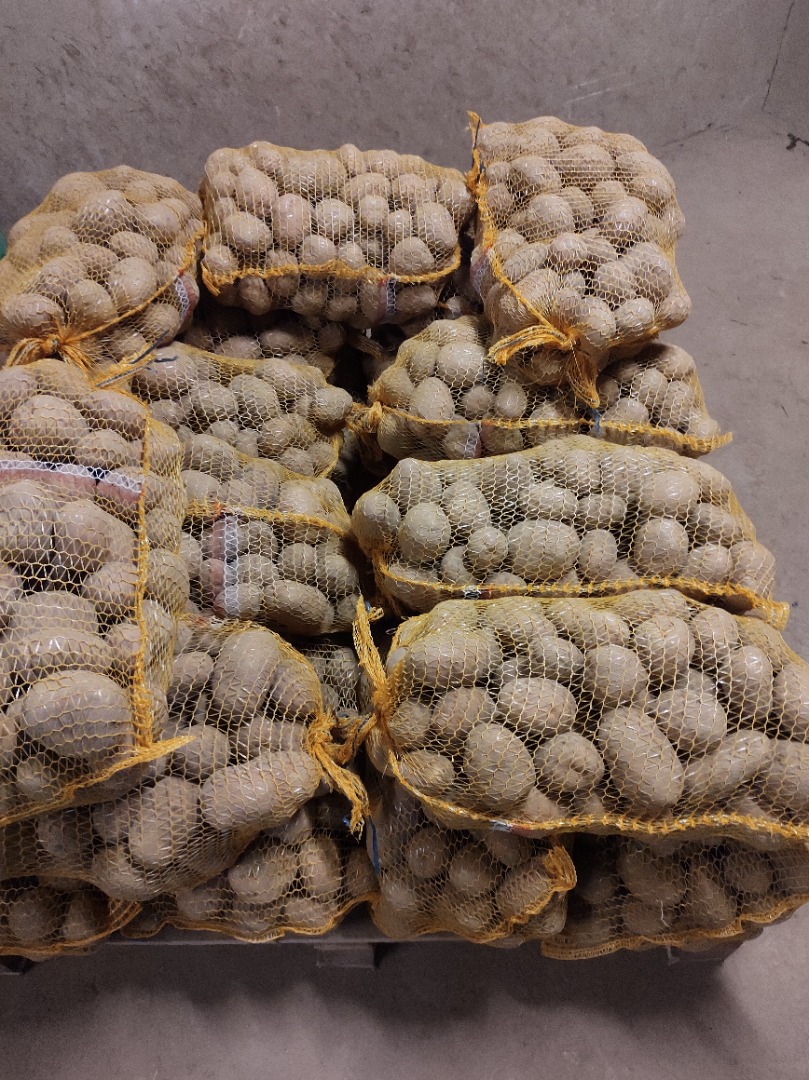Vendo papas bellarosa rojas, gruesas, 10 toneladas aprox Empacado en saco de 15kg, atado