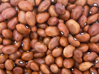 Venta de frijoles integrales Envasados en sacos de 25